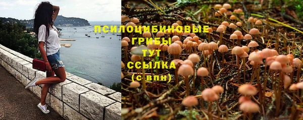 прущая мука Елабуга