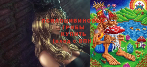 мдпв Ельня