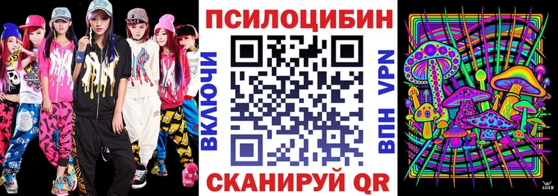Галлюциногенные грибы прущие грибы  как найти   shop как зайти  Суздаль 