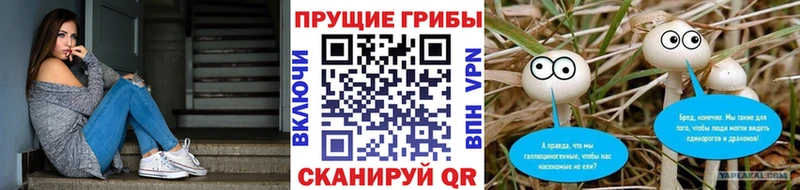 Псилоцибиновые грибы прущие грибы Суздаль
